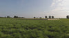A time-lapse video showing an empty field gradually transforming into a finished glamping pod site, with each stage of setup appearing one by one. The camera remains fixed as the pod is placed, deck is added, and the site is completed.